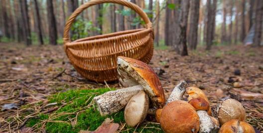 jxfnz2fok8h8d9tegngua.jpg jxfnz2fok8h8d9tegngua.jpg