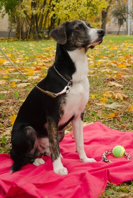 k6u1jsjcifm_logo.jpg k6u1jsjcifm_logo.jpg