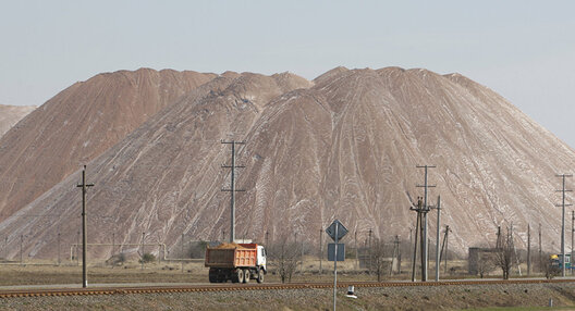 kalij_1.jpg kalij_1.jpg