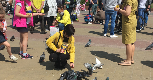 «Кармленне галубоў» пашыраецца за межы Брэста