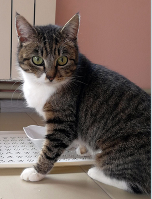 katja2_logo.jpg katja2_logo.jpg