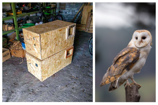 kollaz.png kollaz.png