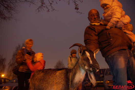 korova_piket_1.jpg korova_piket_1.jpg