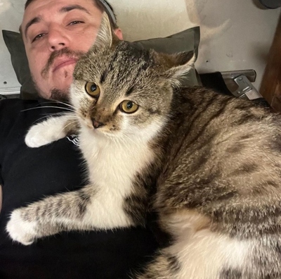 Кошка Караліна Кошка Караліна