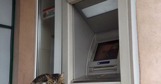 Нацбанк пракаментаваў зніжэнне сумы, якую можна зняць наяўнымі без падазрэнняў у «адмыванні»