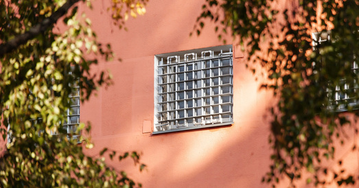 Аляксандр Лукашэнка мусіць вызваліць палітвязняў