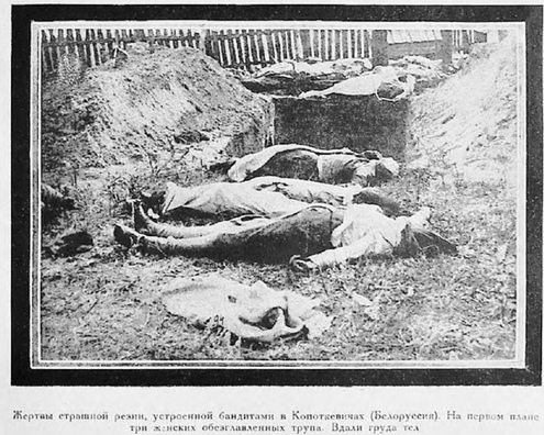 Абезгалоўленыя трупы ў Капаткевічах. Фота: vk.com Абезгалоўленыя трупы ў Капаткевічах. Фота: vk.com