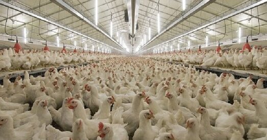 Херсону пагражае экалагічная катастрофа