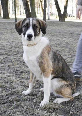 l3j9ozvlbmo_logo.jpg l3j9ozvlbmo_logo.jpg