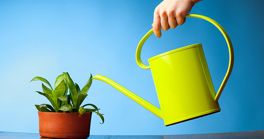 Чым паліваць беларускую эканоміку, каб яна расла хутчэй?