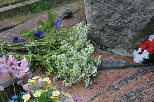 lit_bel.org__assets_images_2_c0b3ae0a0547fec1795fd907fade576e.jpeg lit_bel.org__assets_images_2_c0b3ae0a0547fec1795fd907fade576e.jpeg