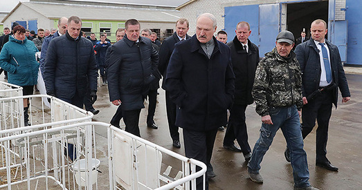 Ці маральна параўноўваць недагледжанае быдла з ахвярамі Асвенцыму?