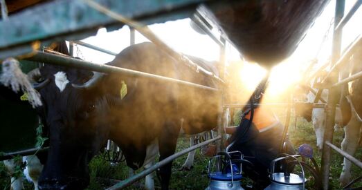 Кампанія з Расіі падманула беларускія прадпрыемствы амаль на 1,5 млн долараў