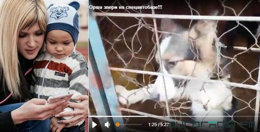 Фота і скрыншот: старонка Юліі Малышавай у "Аднакласніках" Фота і скрыншот: старонка Юліі Малышавай у "Аднакласніках"