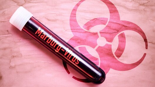 marburg_virus.jpg marburg_virus.jpg