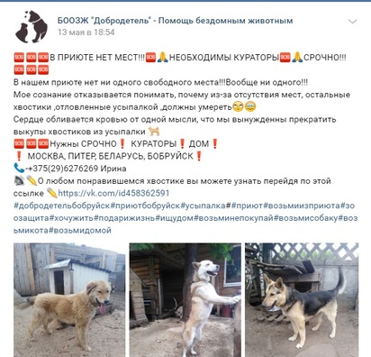 mest_net.jpg mest_net.jpg