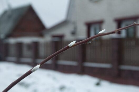 Фота vitebsk.cc Фота vitebsk.cc