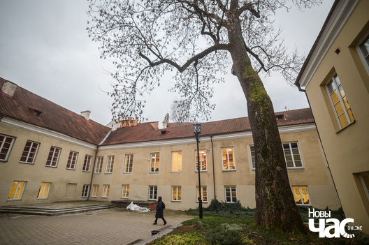 Дворык Міцкевіча ў Віленскім універсітэце Дворык Міцкевіча ў Віленскім універсітэце