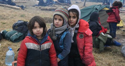 У Германіі назвалі колькасць затрыманых нелегальных мігрантаў, якія прыехалі праз Беларусь