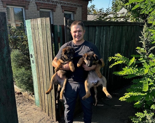 Мікалай Магілеўскі эвакуіруе сабачак. Фота Instagram @nikolai_offline Мікалай Магілеўскі эвакуіруе сабачак. Фота Instagram @nikolai_offline