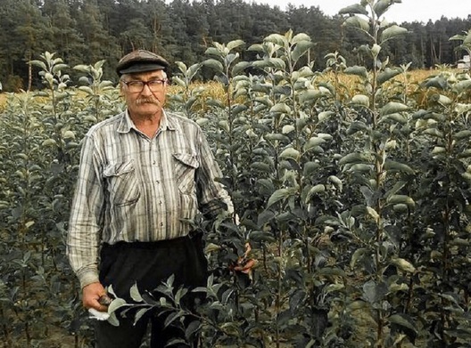 mikalaj_vicikau_1.jpg mikalaj_vicikau_1.jpg