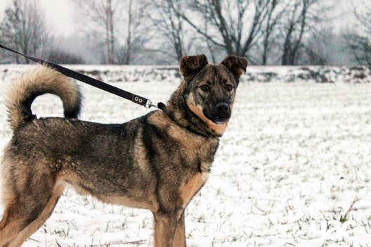 2/3 miyxaswyplw_logo.jpg