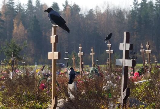 Магілы памерлых ад каронавіруса на могілках пад Санкт-Пецярбургам, восень 2021 года. Фота: Дзмітрый Лавецкі, LETA Магілы памерлых ад каронавіруса на могілках пад Санкт-Пецярбургам, восень 2021 года. Фота: Дзмітрый Лавецкі, LETA