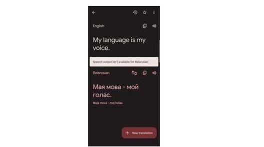 mova_petycyja_da_google.jpg mova_petycyja_da_google.jpg