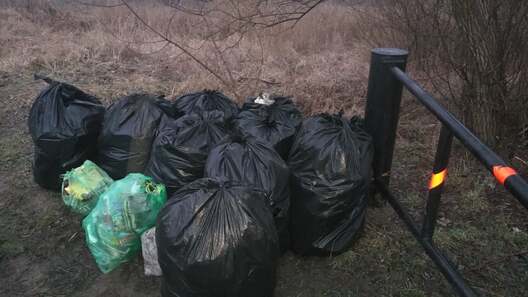 Сабранае смецце Сабранае смецце