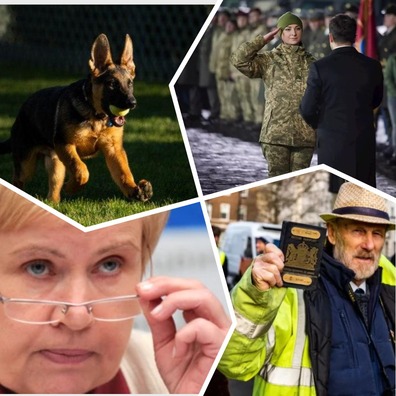 mycollages_5.jpg mycollages_5.jpg