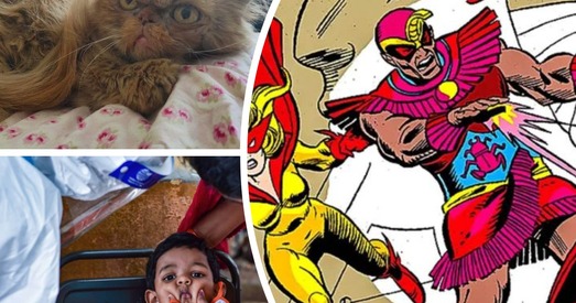 Сусветныя цікавосткі: котка-герой, коміксы і імідж арабаў, «таматавы грып»