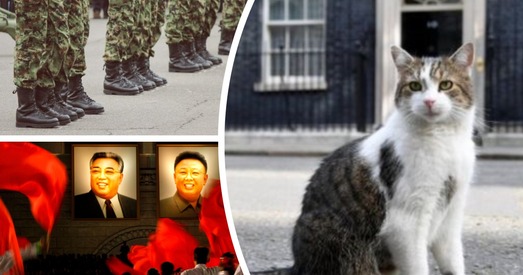 Сусветныя цікавосткі: Ці стане кот прэм’ерам Брытаніі, чучхе супраць пальмаў і самая паспяховая ДРГ у гісторыі