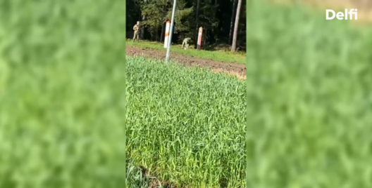 namiazhy.png namiazhy.png