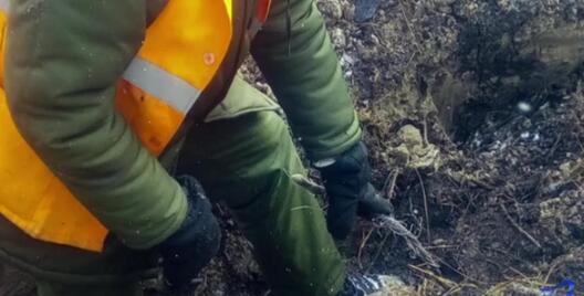 nch_001_7.jpg nch_001_7.jpg