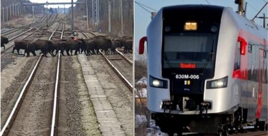 nch_001_9.jpg nch_001_9.jpg