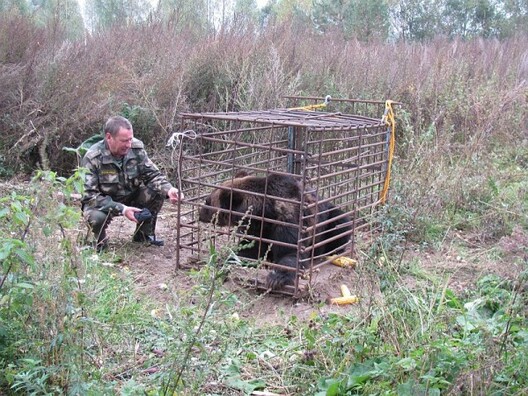 news.vitebsk.cc__wp_content_uplo_7399c7e8950dabfe51c6015021dfada8.jpeg news.vitebsk.cc__wp_content_uplo_7399c7e8950dabfe51c6015021dfada8.jpeg