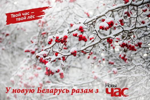 nh_ncz.jpg nh_ncz.jpg