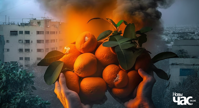 Новы сусветны парадак vs Усеагульная дэкларацыя правоў чалавека Супрацьстаянне паміж тымі, хто саджае мандарыны, і тымі, хто іх ненавідзіць