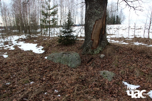 5/8 novajanczyna_kamien_lia_mohilak_1_a.leszkevicz_img_9125_logo.jpg