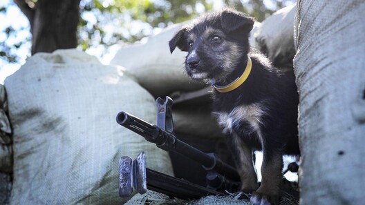 oboi_na_raboczij_stol_1536x864.jpg oboi_na_raboczij_stol_1536x864.jpg