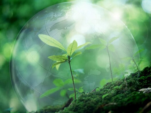 okryzhayshaia_sreda.jpg okryzhayshaia_sreda.jpg