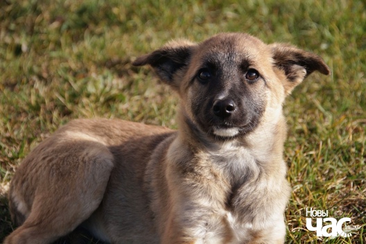 olccsoqtvwq_logo.jpg olccsoqtvwq_logo.jpg