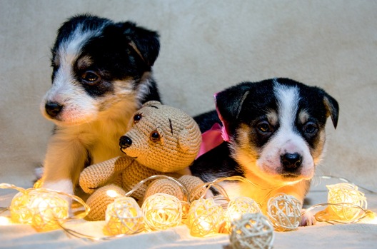 onqgyx5ei74_logo.jpg onqgyx5ei74_logo.jpg