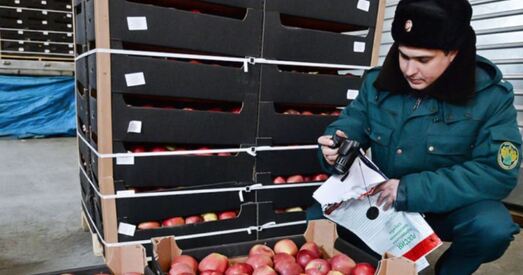 Нешта пайшло не так