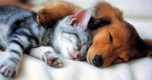 БагатаДата 30 лістапада — 6 снежня