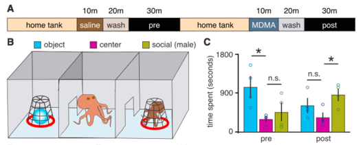 osminog_001.png osminog_001.png