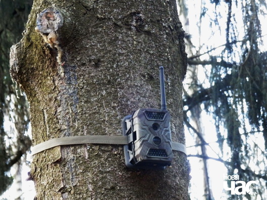 23/24 p3254692_logo.jpg