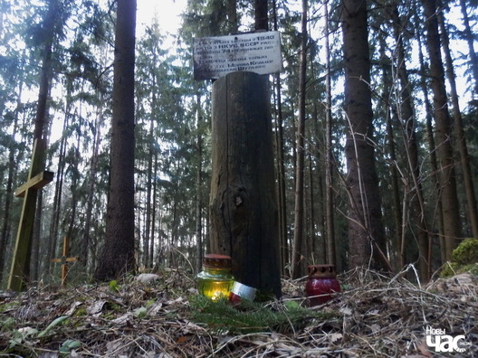 На сённяшні дзень афіцыйна вядомыя толькі два імёны расстраляных у Курапатах На сённяшні дзень афіцыйна вядомыя толькі два імёны расстраляных у Курапатах