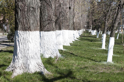 pabelka.jpg pabelka.jpg