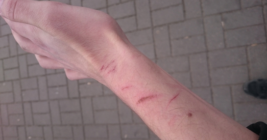 «Анархісты — галоўная пагроза дзяржаве»